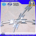 Electro Galvanized Iron Razor Barbed Wire for Security Fencing with ISO9001